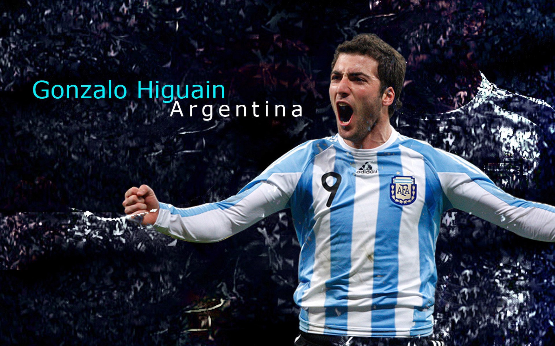 国际体育交流年计划正式公布，国际体育教育联合会